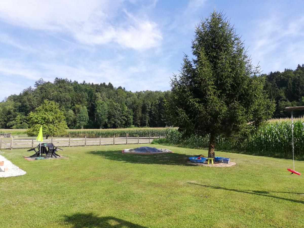 Ferienhaus Am Bach Kirchberg an der Raab Bagian luar foto